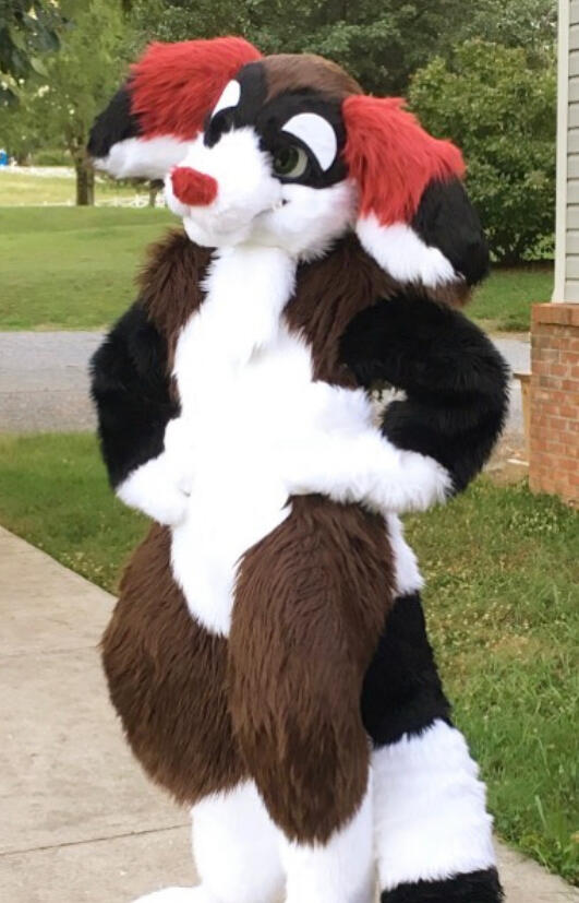 Fursuit Full Fursuit Full