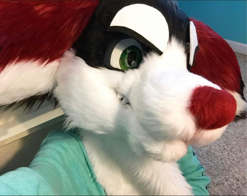 Fursuit Head Fursuit Head